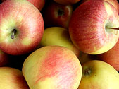 fruechte-industrie-aepfel