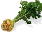Gemuese-Sellerie