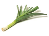 Gemuese-Lauch